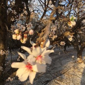 Meet your Posher, Hailey